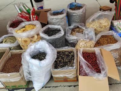 慶豐收 感黨恩——蘄春縣農副產品展銷會隆重開幕，特色好物匯聚一堂