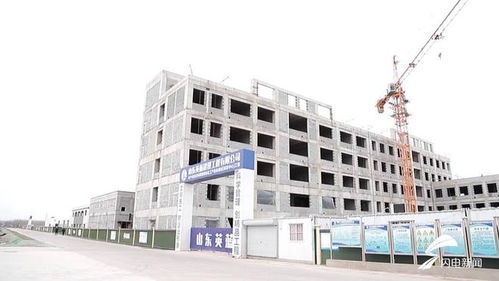 平原縣 聚焦綠色化工與農副產品精深加工，雙輪驅動沖刺百億產值新高地