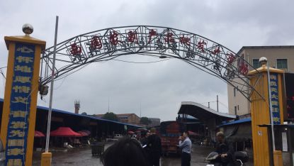 衡陽市西園農副產品批發(fā)大市場債權問題分析 農副產品流通環(huán)節(jié)的金融風險與應對策略