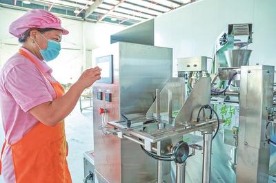 建寧 智能化助力農副產品與食品加工產業(yè)升級