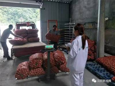 鎮(zhèn)園聯(lián)盟+電商聯(lián)盟 漢陰農副產品鼓起村民“錢袋子”的雙引擎